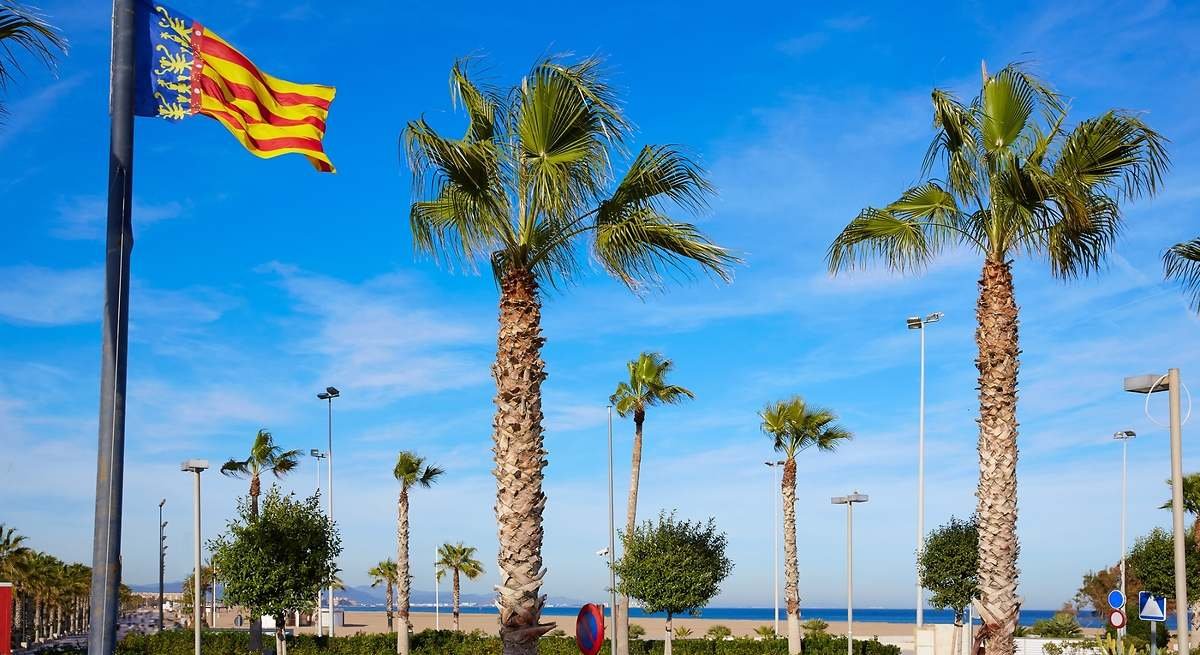 Valencia 7